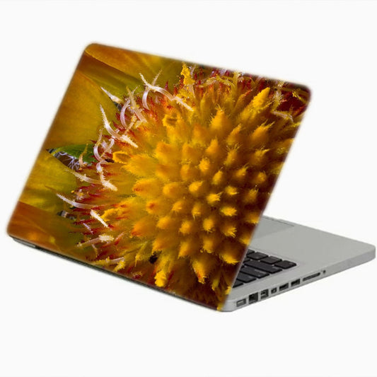printed-skin-for-15-inch-laptop-1217