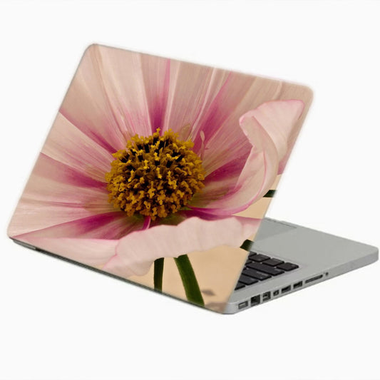 printed-skin-for-15-inch-laptop-1549