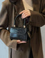 21-ElegantGlow Petite CrossLeather Bag